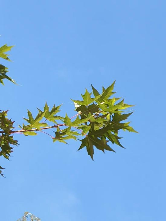 微信图片_2025-10-10_092738_135 微信图片_2025-10-10_092738_135