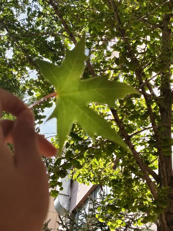 微信图片_2025-10-10_092742_287 微信图片_2025-10-10_092742_287